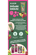 Elidor Satura Avakado Tüp Saç Kremi 170 ml