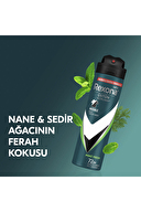 Rexona Black & White Diamond Invisible Deodorant 150 ml