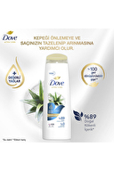 Dove Aloe Vera Kepek Karşıtı Şampuan 400 ml