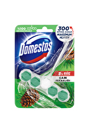 Domestos Wc Temizleyici Blok 5'li Güç Çam Ferahlığı