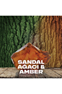 Axe Jungle Fresh Deodorant 150 ml