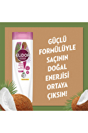 Elidor Satura Hindistan Cevizi Yağı 400ml