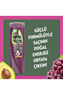 Elidor Satura Avakado Üzüm Çekirdeği Yağı Şampuan 400 ml