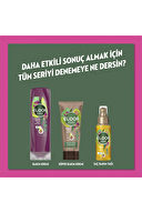 Elidor Satura Avakado Üzüm Çekirdeği Yağı Şampuan 400 ml