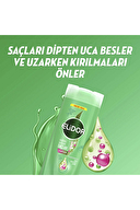 Elidor Sağlıklı Uzayan Şampuan 400 ml