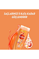 Elidor Onarıcı Şampuan 400 ml + Saç Bakım Kremi 200 ml
