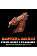 Axe Premium Collection Deodorant 150 ml Copper Santal