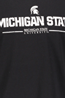 Lumberjack Erkek Tişört MICHIGAN