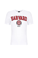 Lumberjack Erkek Tişört HARVARD LOGO TS