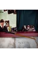 Wizarding World - Harry Potter Asa - Neville Longbottom ASA017