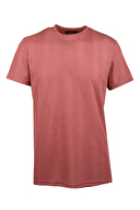 GÜL KURUSU GÜL KURUSU