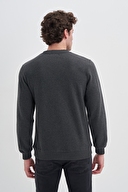 Cazador Erkek Sweatshırt 56210