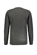 Loft Erkek Kazak LF2040477 ANM