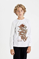 Defacto Erkek Çocuk Pijama Takımı D5216A8TRA.BYZ