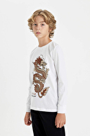 Defacto Erkek Çocuk Pijama Takımı D5216A8TRA.BYZ