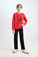 Defacto Erkek Çocuk Sweatshirt D8202A8TRVA