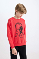 Defacto Erkek Çocuk Sweatshirt D8202A8TRVA