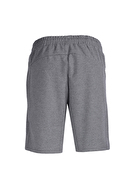 Lumberjack Erkek Şort BASIC CT103