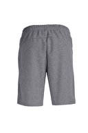 Lumberjack Erkek Şort BASIC CT103