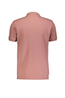 Altınyıldız Classics Erkek Tişört 4A9000000001