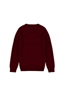 U.S. Polo Assn. Erkek Çocuk Kazak G083SZ0TK.000.1639135.VR014