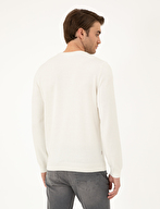 Pierre Cardin Erkek Triko 1989275