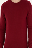 Pierre Cardin Erkek Triko 1989275