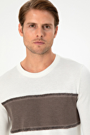 Pierre Cardin Erkek Triko 1955104