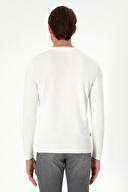 Pierre Cardin Erkek Triko 1955104