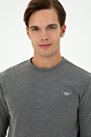 U.S. Polo Assn. Erkek Sweatshirt 2031242