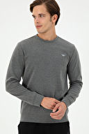 U.S. Polo Assn. Erkek Sweatshirt 2031242