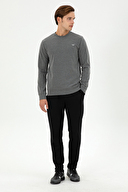 U.S. Polo Assn. Erkek Sweatshirt 2031242