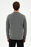 U.S. Polo Assn. Erkek Sweatshirt 2031242