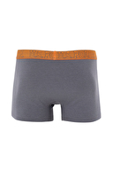 U.S. Polo Assn. Erkek 3'lü Boxer 3BDZSLA24K.VR046