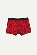 U.S.Polo Assn. Erkek Çocuk 3'lü Boxer US1397-24K.BYZ