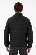 U.S. Polo Assn. Erkek Mont 2100410