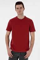 Pierre Cardin Erkek Tişört 2131604