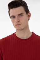 Pierre Cardin Erkek Tişört 2131604