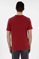 Pierre Cardin Erkek Tişört 2131604