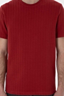 Pierre Cardin Erkek Tişört 2131604