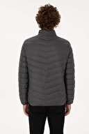 U.S.Polo Assn. Erkek Mont 2246446