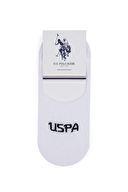 FALICIA-2-IY25.BY0001