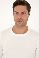 Pierre Cardin Erkek Triko 2320029