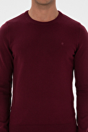 Pierre Cardin Erkek Triko 2320029