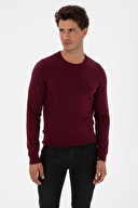 Pierre Cardin Erkek Triko 2320029