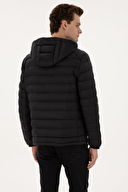 Pierre Cardin Erkek Mont 2247701