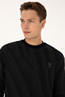 U.S.Polo Assn. Erkek Sweatshırt 2238943