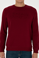 U.S.Polo Assn. Erkek Sweatshırt 2226878