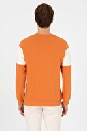 U.S.Polo Assn. Erkek Sweatshırt 2249681