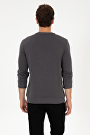 U.S.Polo Assn. Erkek Sweatshırt 2237377